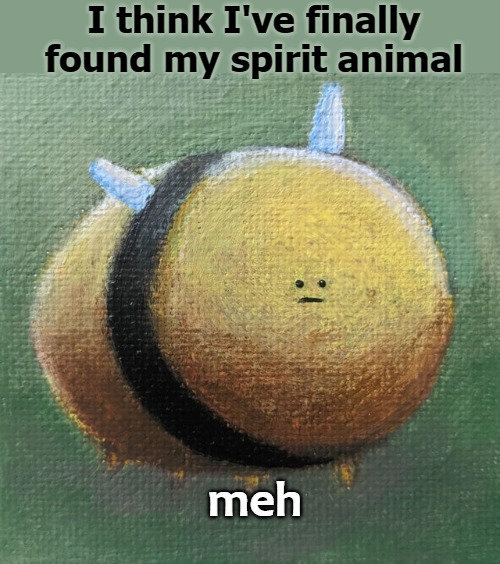 I think I've finally found my spirit animal; meh | image tagged in meh | made w/ Imgflip meme maker