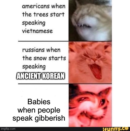 americans when |  ANCIENT KOREAN; Babies when people speak gibberish | image tagged in americans when | made w/ Imgflip meme maker