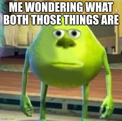 Mike wasowski sully face swap | ME WONDERING WHAT BOTH THOSE THINGS ARE | image tagged in mike wasowski sully face swap | made w/ Imgflip meme maker