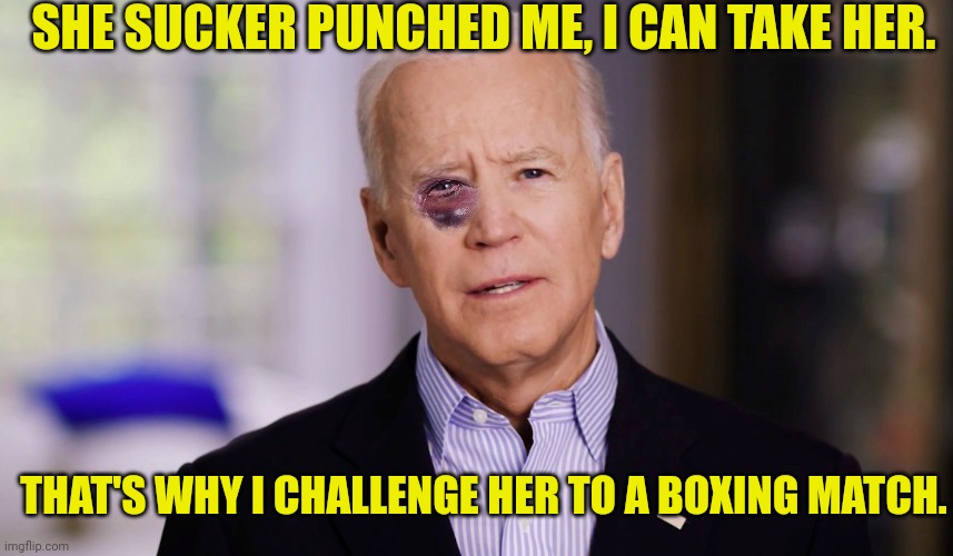 Joe Biden 2020 | SHE SUCKER PUNCHED ME, I CAN TAKE HER. THAT'S WHY I CHALLENGE HER TO A BOXING MATCH. | image tagged in joe biden 2020 | made w/ Imgflip meme maker