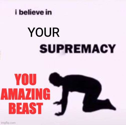 You're amazing | YOUR; YOU AMAZING BEAST | image tagged in i believe in supremacy,amazing | made w/ Imgflip meme maker