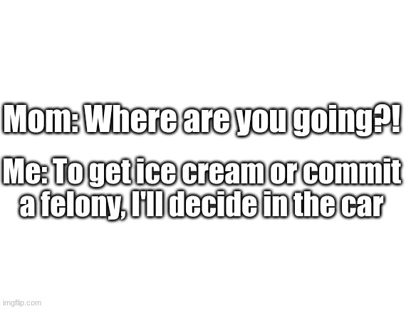One of the stream that has anonymous posts sorry | Mom: Where are you going?! Me: To get ice cream or commit a felony, I'll decide in the car | image tagged in blank white template | made w/ Imgflip meme maker