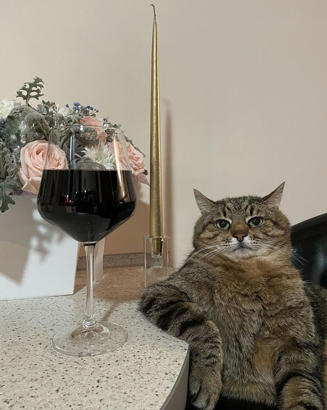 Fancy cat with glass Blank Meme Template