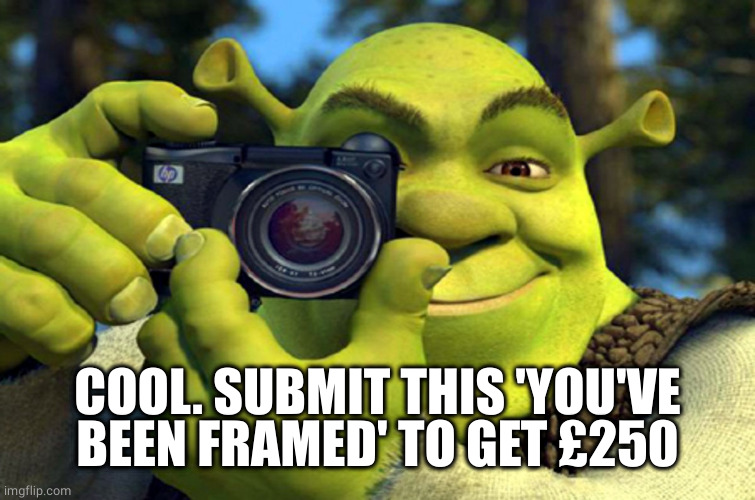 shrek camera | COOL. SUBMIT THIS 'YOU'VE BEEN FRAMED' TO GET £250 | image tagged in shrek camera | made w/ Imgflip meme maker