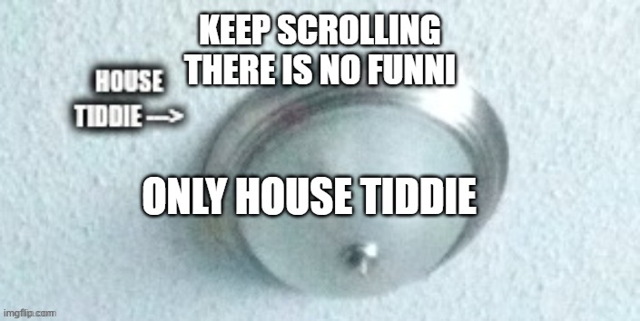 house tiddie | KEEP SCROLLING
THERE IS NO FUNNI; ONLY HOUSE TIDDIE | image tagged in house tiddie | made w/ Imgflip meme maker