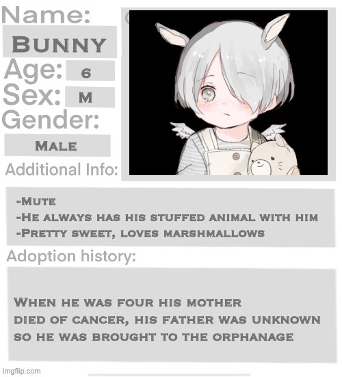 Here is an example of a good use of the file. | Bunny; 6; M; Male; -Mute
-He always has his stuffed animal with him
-Pretty sweet, loves marshmallows; When he was four his mother died of cancer, his father was unknown so he was brought to the orphanage | image tagged in orphanage faction file,orphanage faction | made w/ Imgflip meme maker