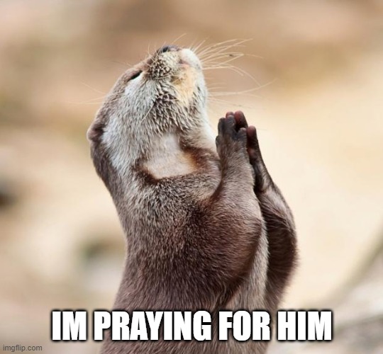 animal praying | IM PRAYING FOR HIM | image tagged in animal praying | made w/ Imgflip meme maker