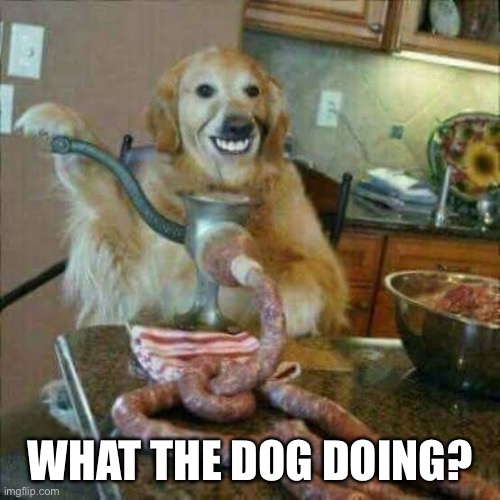 Dog making Sausage | WHAT THE DOG DOING? | image tagged in dog making sausage | made w/ Imgflip meme maker