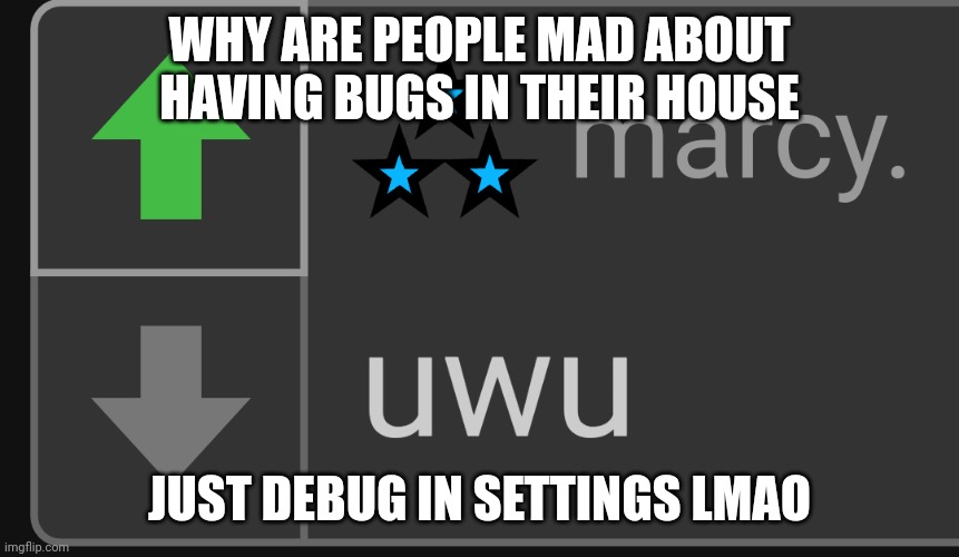 Marcy caught being a furry in 4k | WHY ARE PEOPLE MAD ABOUT HAVING BUGS IN THEIR HOUSE; JUST DEBUG IN SETTINGS LMAO | image tagged in marcy caught being a furry in 4k | made w/ Imgflip meme maker