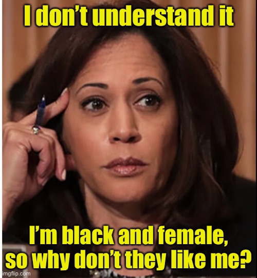 When you got the job based on your race and gender you’re going to get low approval ratings | I don’t understand it; I’m black and female, so why don’t they like me? | image tagged in kamala is over it,failure | made w/ Imgflip meme maker