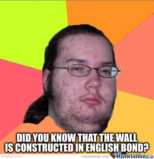 Nerd | DID YOU KNOW THAT THE WALL IS CONSTRUCTED IN ENGLISH BOND? | image tagged in nerd | made w/ Imgflip meme maker