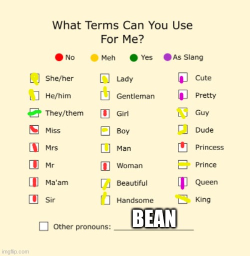 Me and my friends call ourselves "the bean squad" and I'm they/bean | BEAN | image tagged in pronouns sheet | made w/ Imgflip meme maker