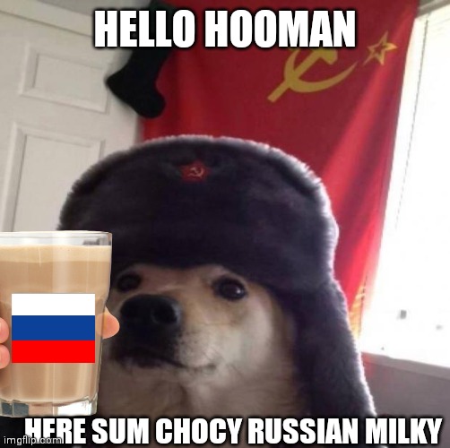 Russia doggo | HELLO HOOMAN; HERE SUM CHOCY RUSSIAN MILKY | image tagged in doggy,doggo,russia dog,russia,milk | made w/ Imgflip meme maker