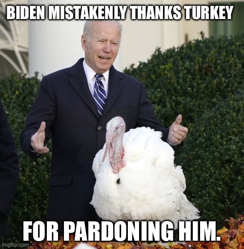 Biden Confused During Turkey Pardon Ceremony! | BIDEN MISTAKENLY THANKS TURKEY; FOR PARDONING HIM. | image tagged in political meme,biden dementia,biden pardoned by turkey | made w/ Imgflip meme maker