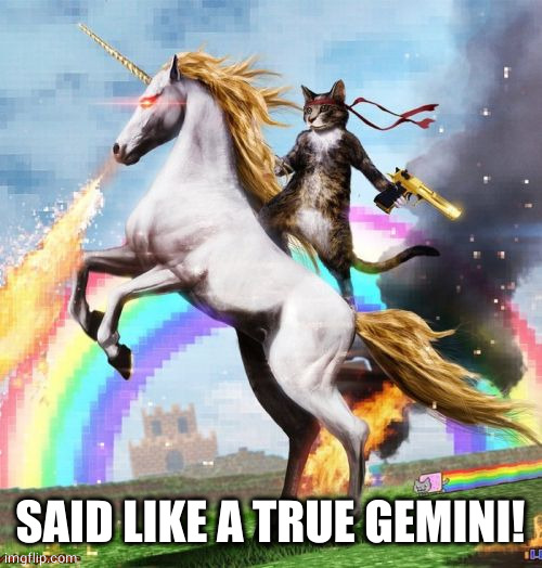 Welcome To The Internets Meme | SAID LIKE A TRUE GEMINI! | image tagged in memes,welcome to the internets | made w/ Imgflip meme maker
