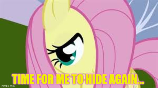 Shy Fluttershy | TIME FOR ME TO HIDE AGAIN... | image tagged in shy fluttershy | made w/ Imgflip meme maker