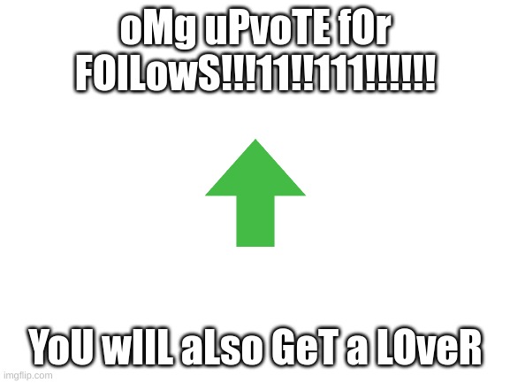 YOu WiLl GEt FoLlOWs | oMg uPvoTE fOr FOlLowS!!!11!!111!!!!!! YoU wIlL aLso GeT a LOveR | image tagged in blank white template | made w/ Imgflip meme maker