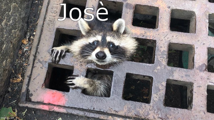 Josè | image tagged in animals stuck in weird places,memes,funny,gifs,not really a gif,barney will eat all of your delectable biscuits | made w/ Imgflip meme maker
