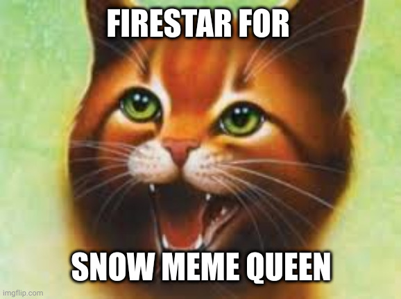 remember everyone vote firestar for snow meme queen | FIRESTAR FOR; SNOW MEME QUEEN | image tagged in warrior cats firestar,firestar | made w/ Imgflip meme maker