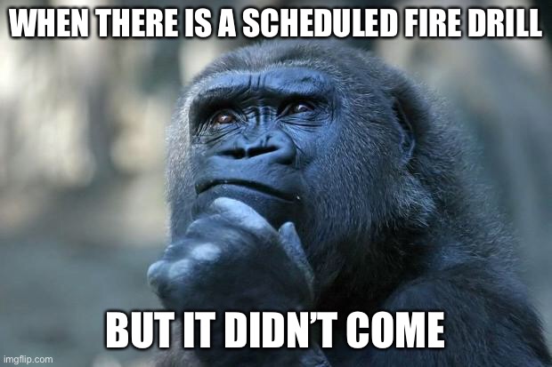 Deep Thoughts | WHEN THERE IS A SCHEDULED FIRE DRILL; BUT IT DIDN’T COME | image tagged in deep thoughts,fire,memes | made w/ Imgflip meme maker