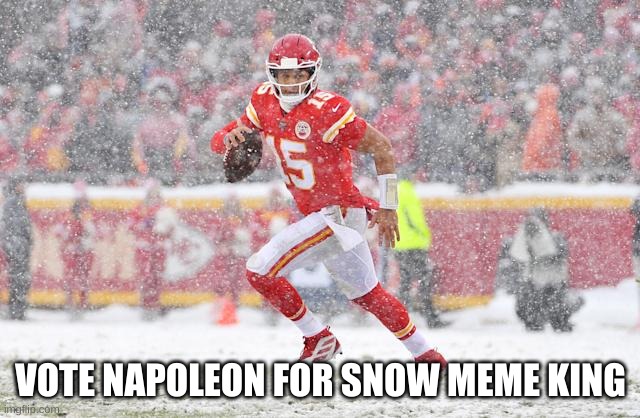 VOTE NAPOLEON FOR SNOW MEME KING | made w/ Imgflip meme maker