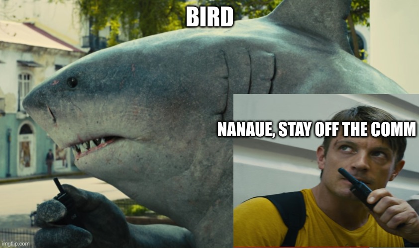 King Shark says "bird" | BIRD; NANAUE, STAY OFF THE COMM | image tagged in great white shark,suicide squad,dc,super hero | made w/ Imgflip meme maker