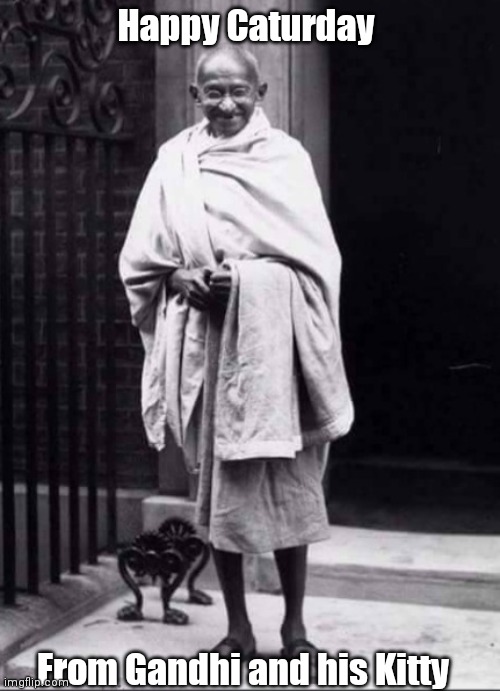 Caturday Gandhi | Happy Caturday; From Gandhi and his Kitty | image tagged in funny | made w/ Imgflip meme maker