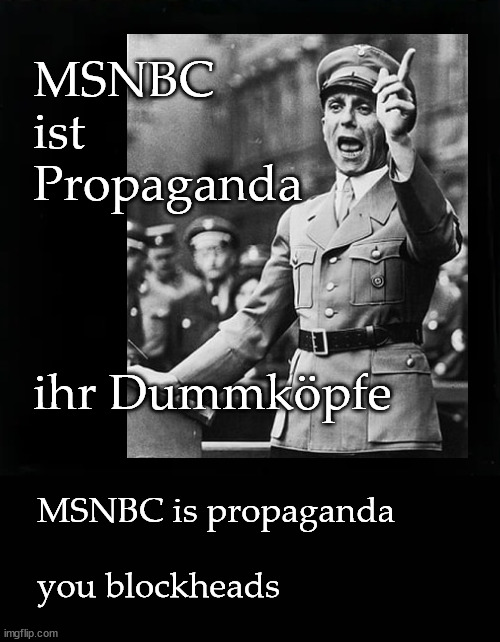 MSNBC is propaganda | MSNBC 
ist
Propaganda; ihr Dummköpfe; MSNBC is propaganda
 
you blockheads | image tagged in propaganda,joseph goebbels | made w/ Imgflip meme maker