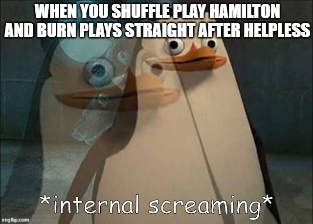 Private Internal Screaming | WHEN YOU SHUFFLE PLAY HAMILTON AND BURN PLAYS STRAIGHT AFTER HELPLESS | image tagged in private internal screaming | made w/ Imgflip meme maker