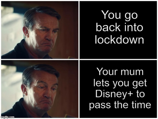 Not all bad | You go back into lockdown; Your mum lets you get Disney+ to pass the time | image tagged in good bad doctor who | made w/ Imgflip meme maker