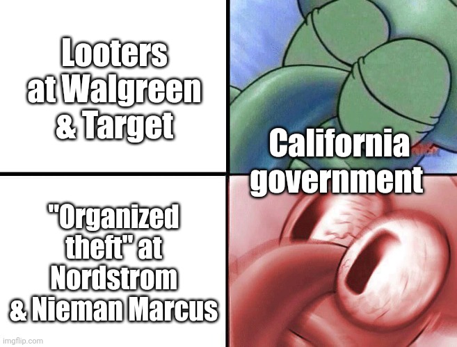 Don't call them looters | Looters at Walgreen & Target; California government; "Organized theft" at Nordstrom & Nieman Marcus | image tagged in sleeping squidward | made w/ Imgflip meme maker