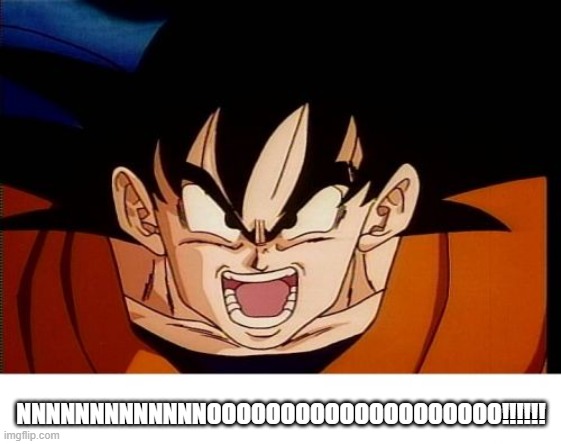 Crosseyed Goku Meme | NNNNNNNNNNNNNOOOOOOOOOOOOOOOOOOOO!!!!!! | image tagged in memes,crosseyed goku | made w/ Imgflip meme maker