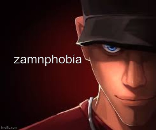 Customphobia | zamnphobia | image tagged in customphobia | made w/ Imgflip meme maker