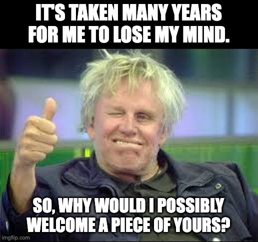 Busey | IT'S TAKEN MANY YEARS FOR ME TO LOSE MY MIND. SO, WHY WOULD I POSSIBLY WELCOME A PIECE OF YOURS? | image tagged in gary busey approves | made w/ Imgflip meme maker