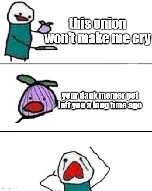 sad, but not funny | this onion won't make me cry; your dank memer pet left you a long time ago | image tagged in this onion won't make me cry | made w/ Imgflip meme maker