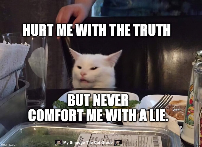 HURT ME WITH THE TRUTH; BUT NEVER COMFORT ME WITH A LIE. | image tagged in smudge the cat | made w/ Imgflip meme maker