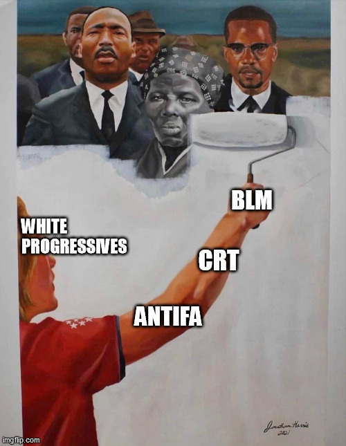 WHITE PROGRESSIVES; BLM; CRT; ANTIFA | image tagged in crt,blm,antifa,progressives | made w/ Imgflip meme maker