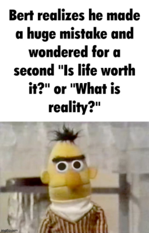 Bert makes a huge mistake | image tagged in bert makes a huge mistake | made w/ Imgflip meme maker