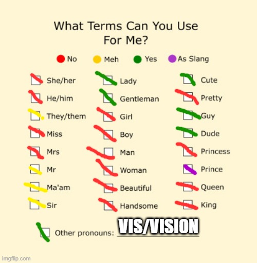 im actually multi-gender male or female | VIS/VISION | image tagged in pronouns sheet | made w/ Imgflip meme maker