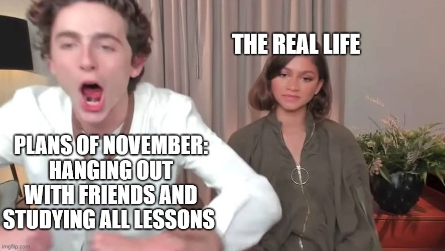 I feel sad now | THE REAL LIFE; PLANS OF NOVEMBER:
HANGING OUT WITH FRIENDS AND STUDYING ALL LESSONS | image tagged in chalamet zendaya | made w/ Imgflip meme maker