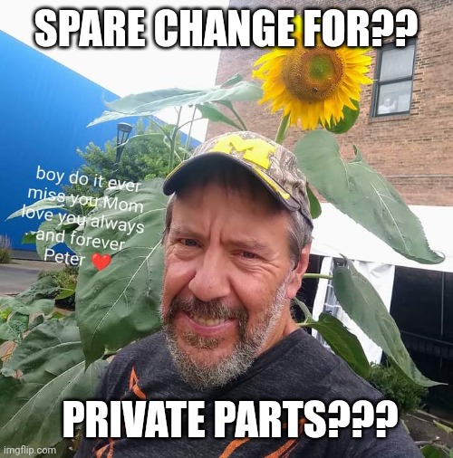 Spare Change For? | SPARE CHANGE FOR?? PRIVATE PARTS??? | image tagged in begging | made w/ Imgflip meme maker