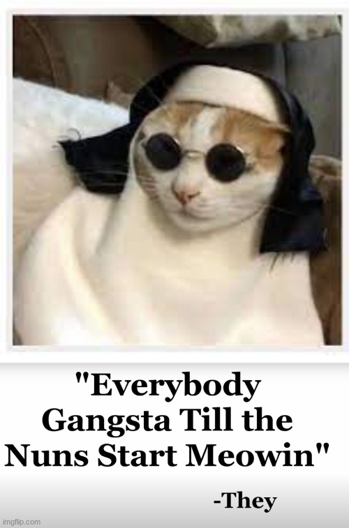 You know what they say... | image tagged in cats,nuns,memes,ligma,fred | made w/ Imgflip meme maker