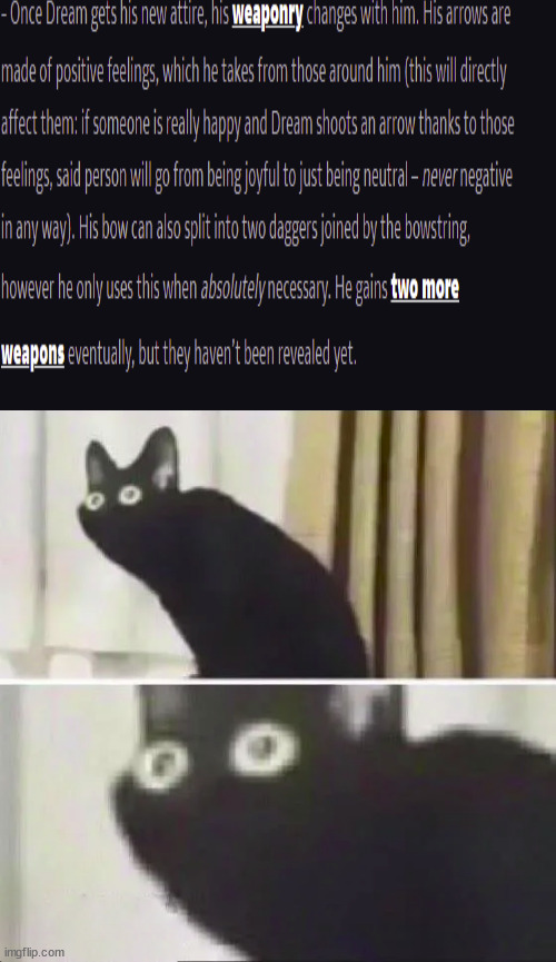 oh boy- | image tagged in oh no black cat | made w/ Imgflip meme maker