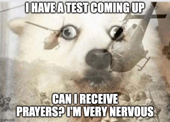 Im toast |  I HAVE A TEST COMING UP; CAN I RECEIVE PRAYERS? I'M VERY NERVOUS | image tagged in ptsd dog | made w/ Imgflip meme maker