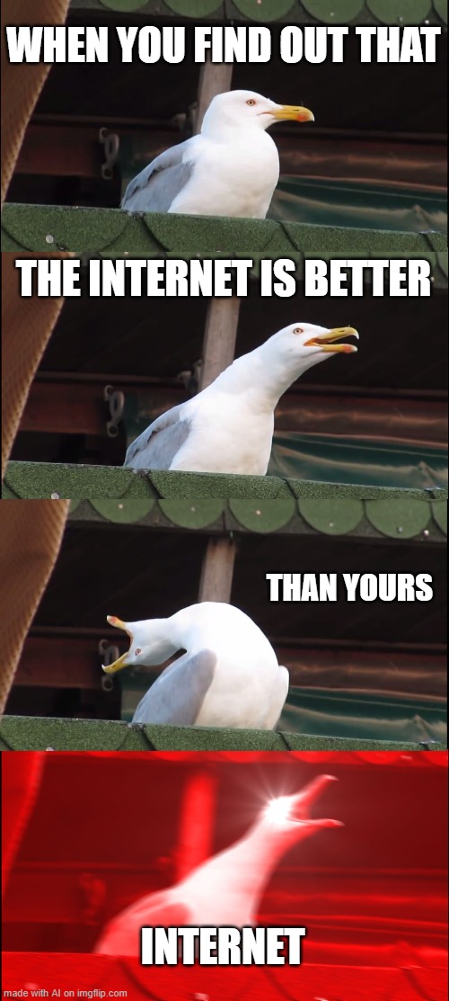 Inhaling Seagull | WHEN YOU FIND OUT THAT; THE INTERNET IS BETTER; THAN YOURS; INTERNET | image tagged in memes,inhaling seagull | made w/ Imgflip meme maker