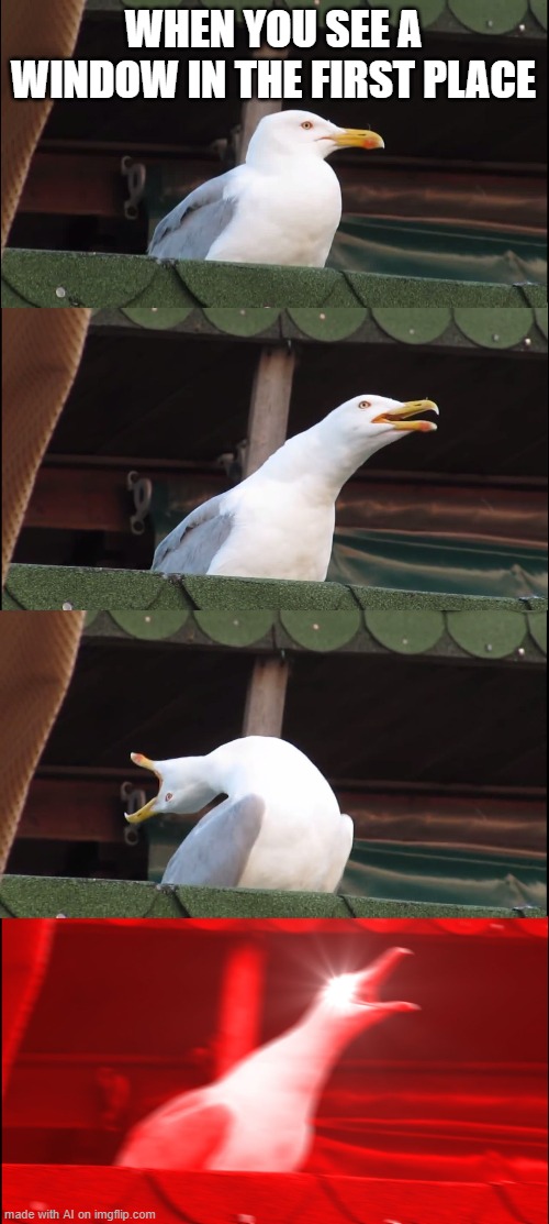 Inhaling Seagull | WHEN YOU SEE A WINDOW IN THE FIRST PLACE | image tagged in memes,inhaling seagull | made w/ Imgflip meme maker