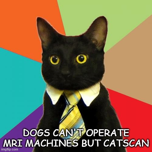 Daily Bad Dad Joke 11/24/2021 |  DOGS CAN'T OPERATE MRI MACHINES BUT CATSCAN | image tagged in memes,business cat | made w/ Imgflip meme maker