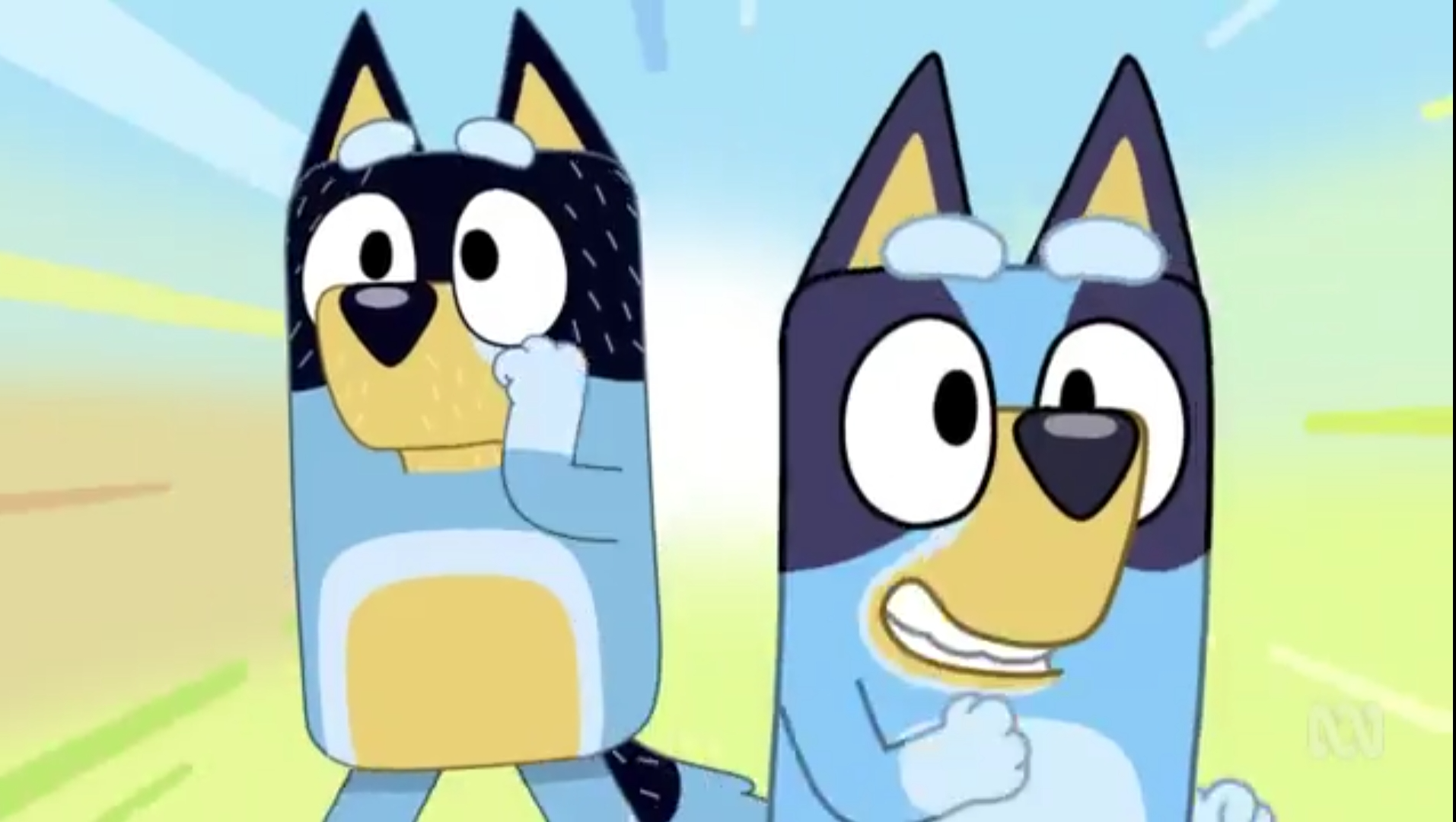 Bluey and Bandit Obstacle Course Blank Meme Template