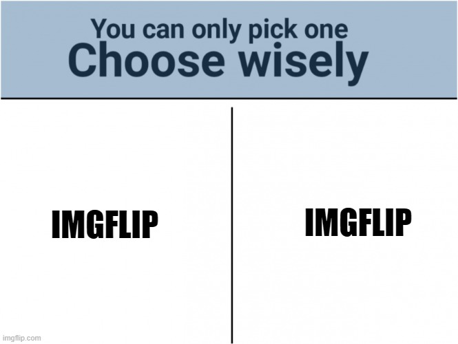 you can pick only one choose wisely | IMGFLIP; IMGFLIP | image tagged in you can pick only one choose wisely,memes,fun,imgflip | made w/ Imgflip meme maker