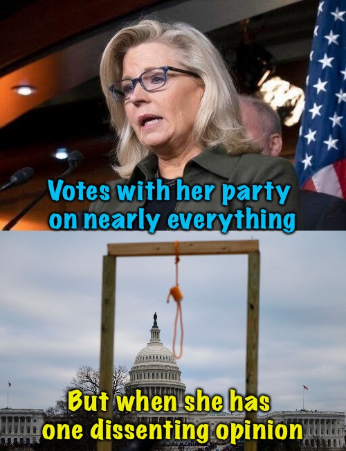 One dissenting opinion | Votes with her party 
on nearly everything; But when she has 
one dissenting opinion | image tagged in liz cheney,capitol hill riot gallows | made w/ Imgflip meme maker